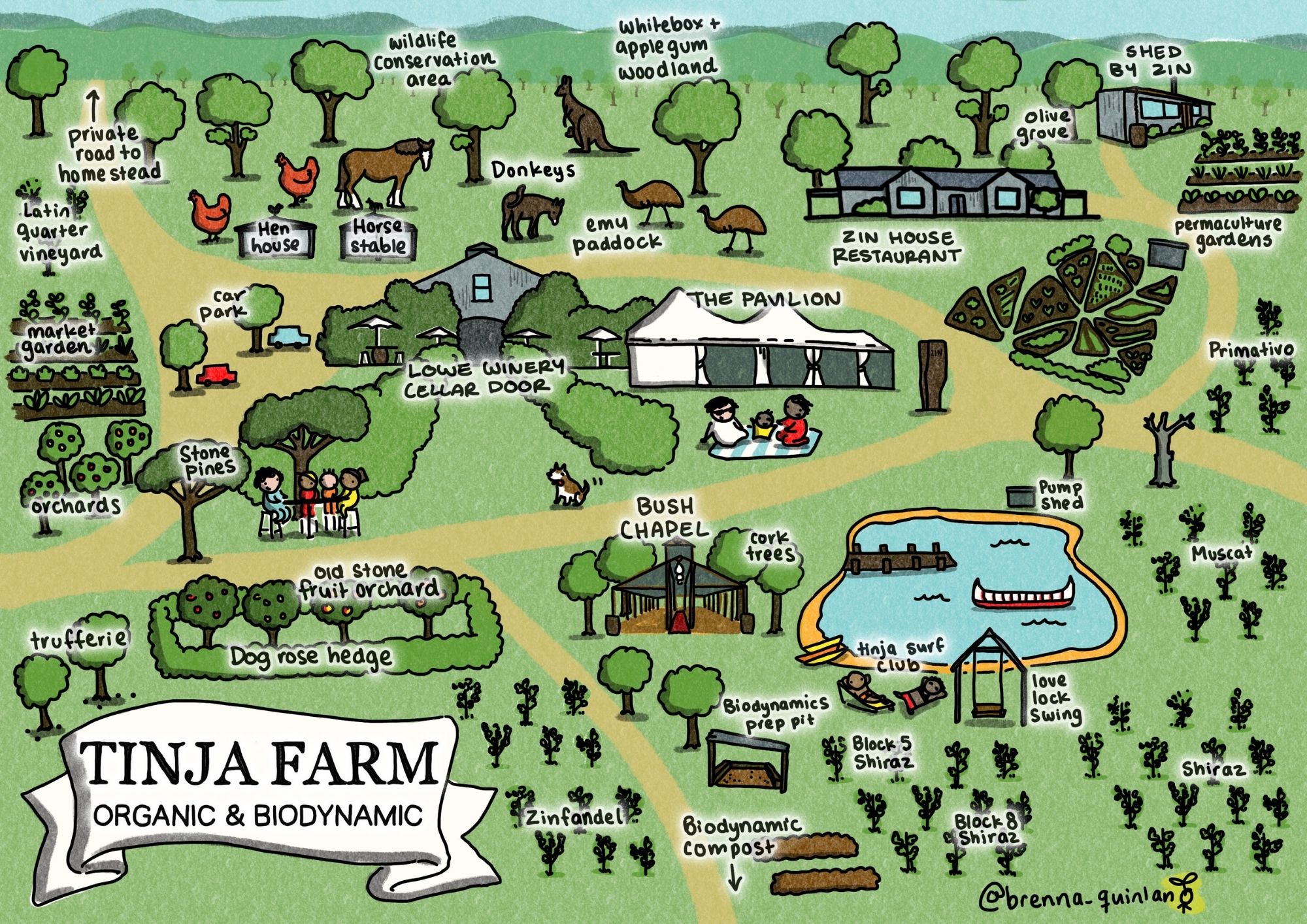 Welcome to our Tinja Farm